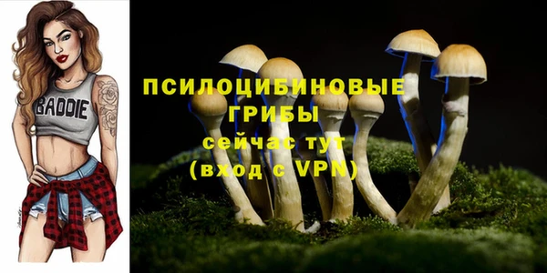 прущая мука Алексеевка